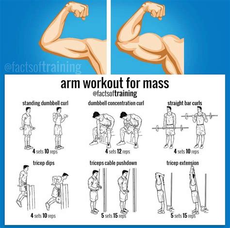 what are 6 types of inexpensive muscle fitness exercises